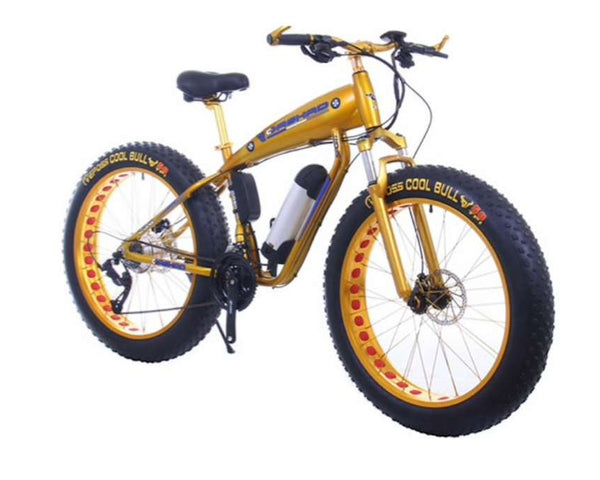 Fat Bike Gold Rider