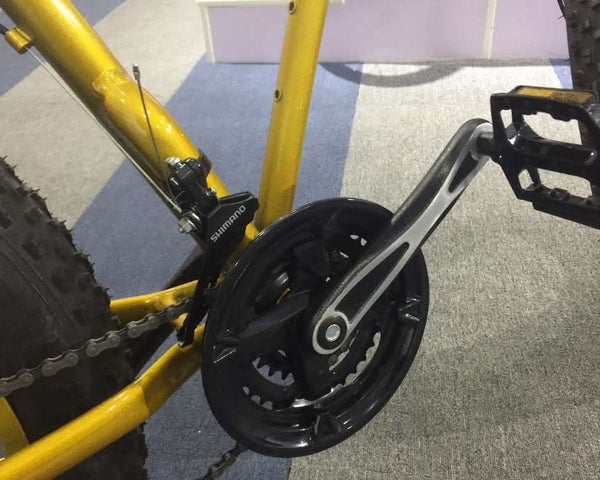 Fat Bike Gold Rider