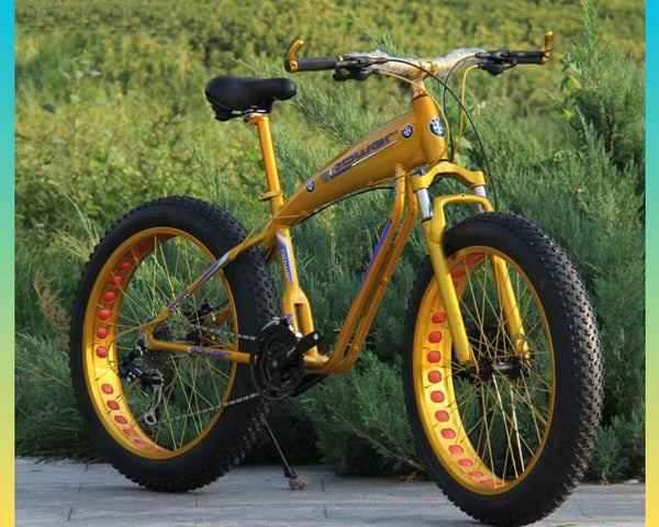 Fat Bike Gold Rider