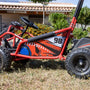 Buggy fun cross