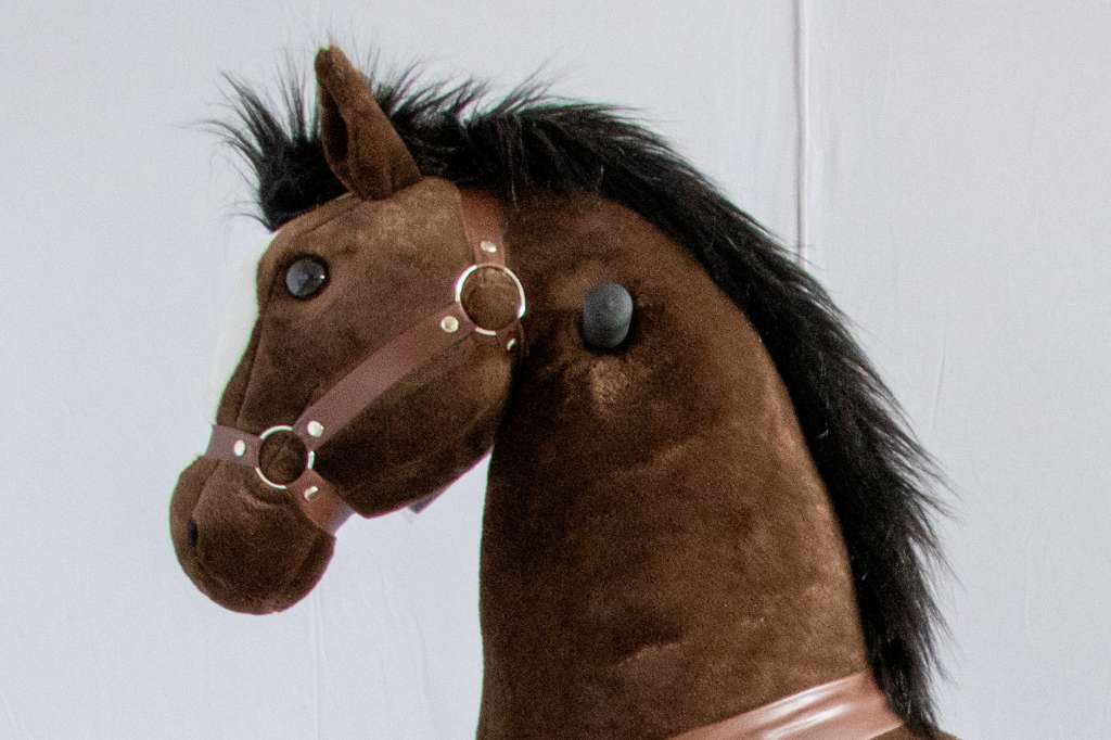 FUN Cheval