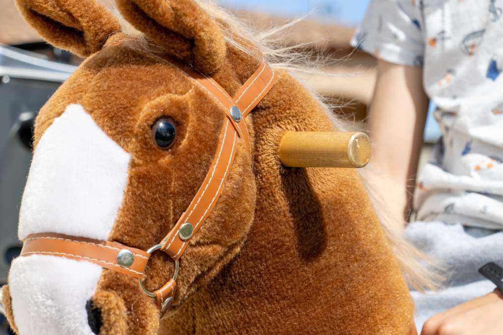 Cheval PONY CYCLE