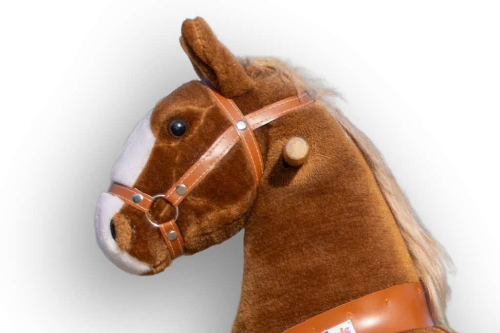 Cheval PONY CYCLE