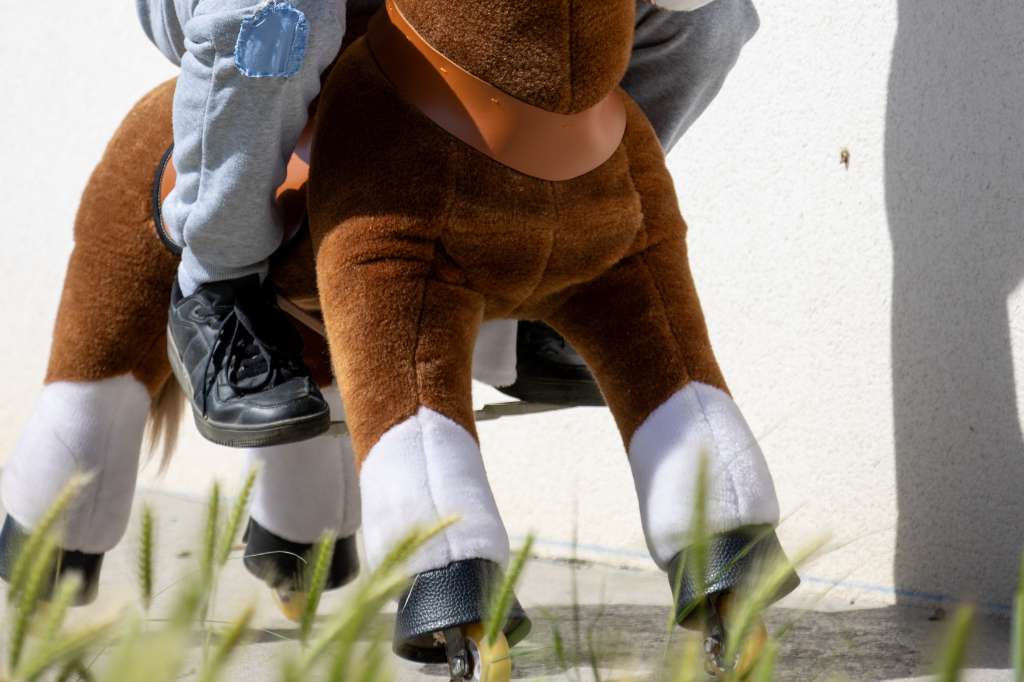 Cheval PONY CYCLE